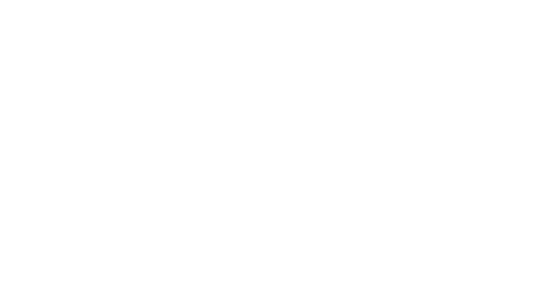Lewa Salon